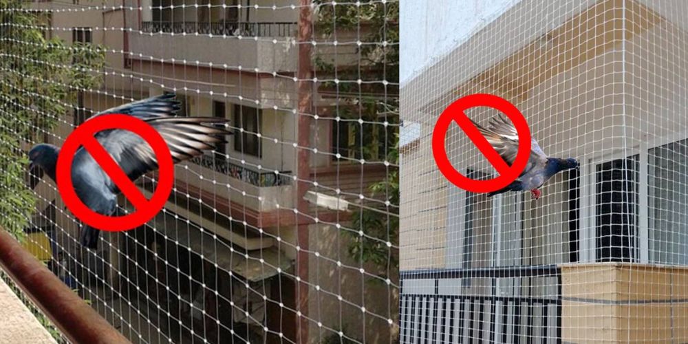 Pigeon Nets Installation in Bangalore | Call Now at 9980667693
