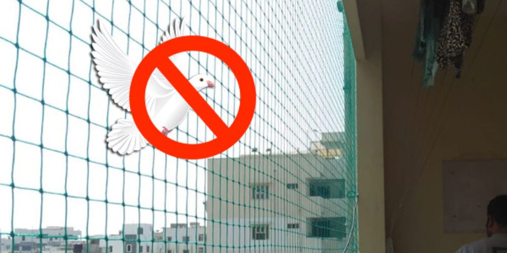 Pigeon Nets Fixing Near Me in Bangalore | Call Now 9980667693
