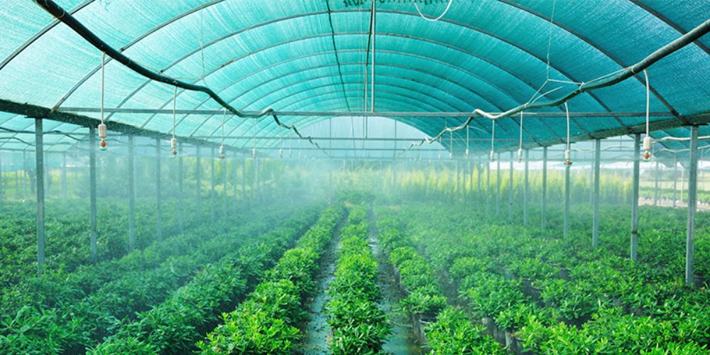Agriculture Shade Nets in Bangalore | Call 9980667693 for Service
