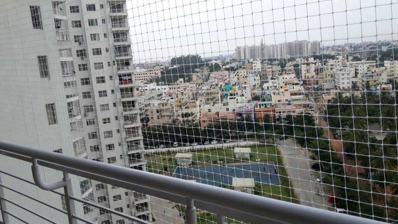 Pigeon Netting in Bangalore Call 9980667693 for Quick Service